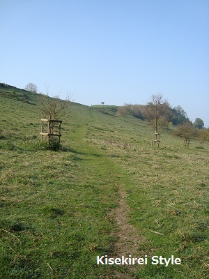 Wearyall Hill